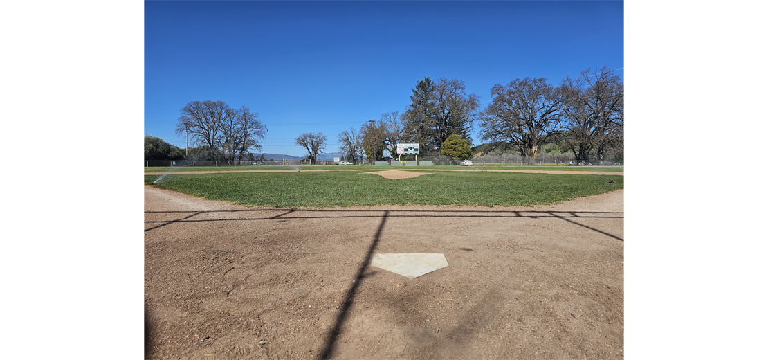 Lynn Butler Field
